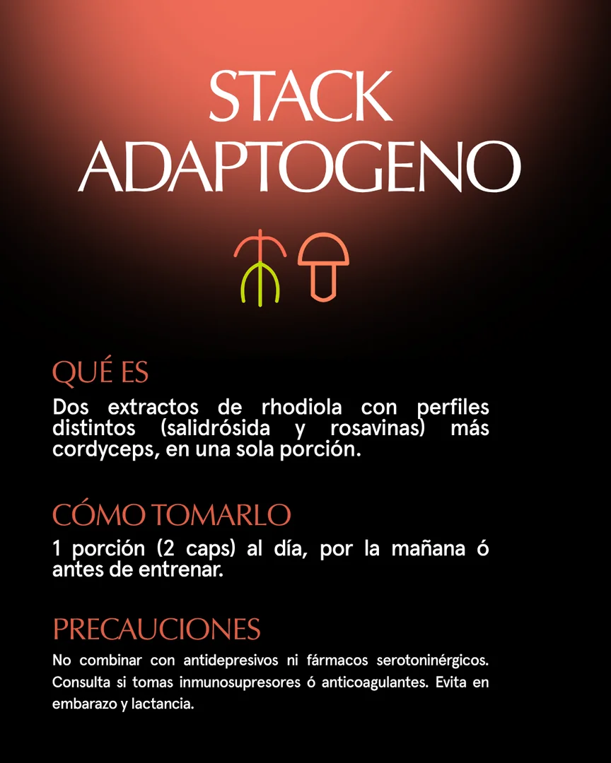 Qué es, cómo tomarlo y precauciones de Stack rhodiola + cordyceps