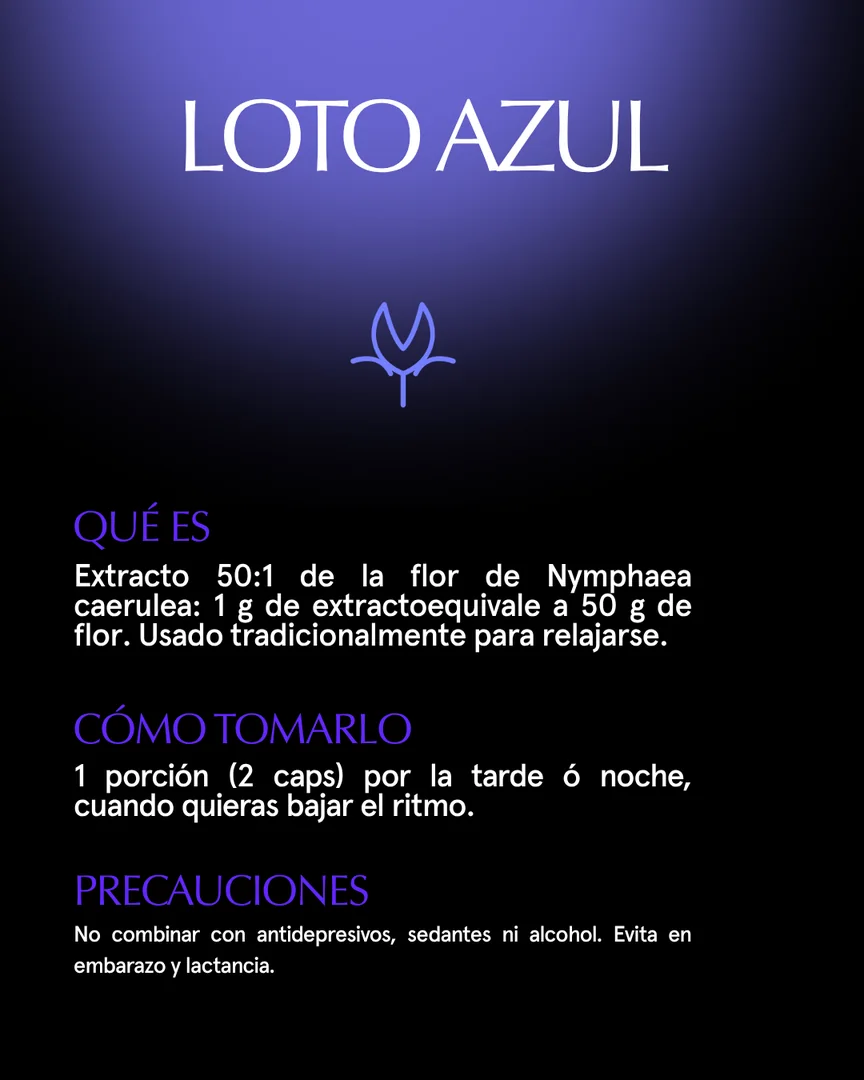 Qué es, cómo tomarlo y precauciones de Loto azul