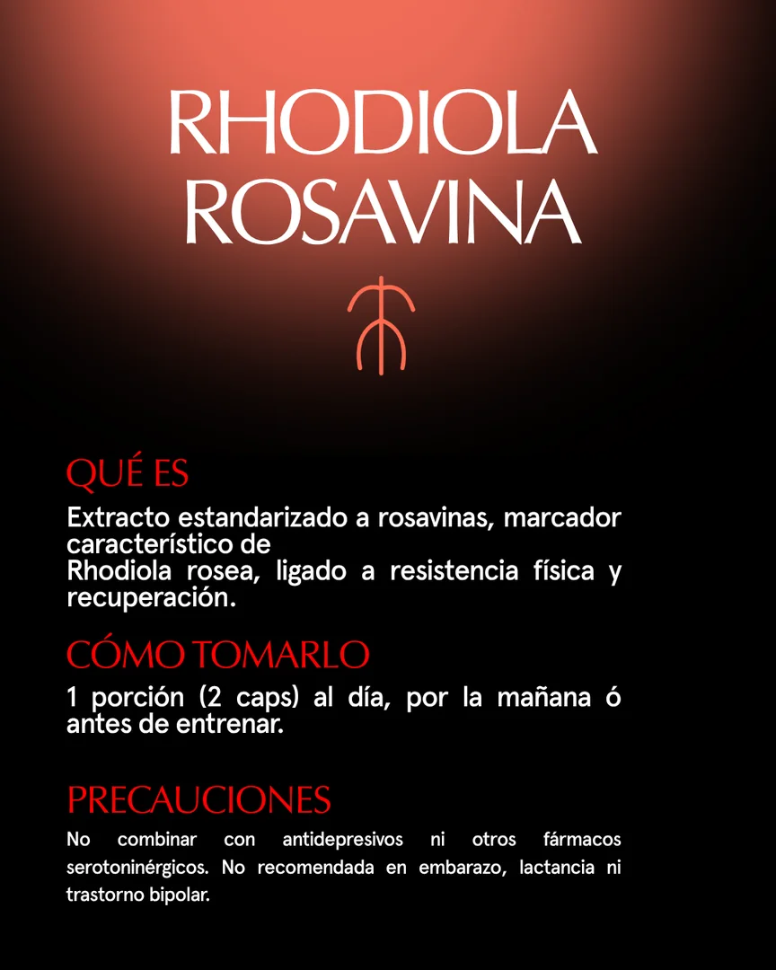 Qué es, cómo tomarlo y precauciones de Rhodiola Rosavina