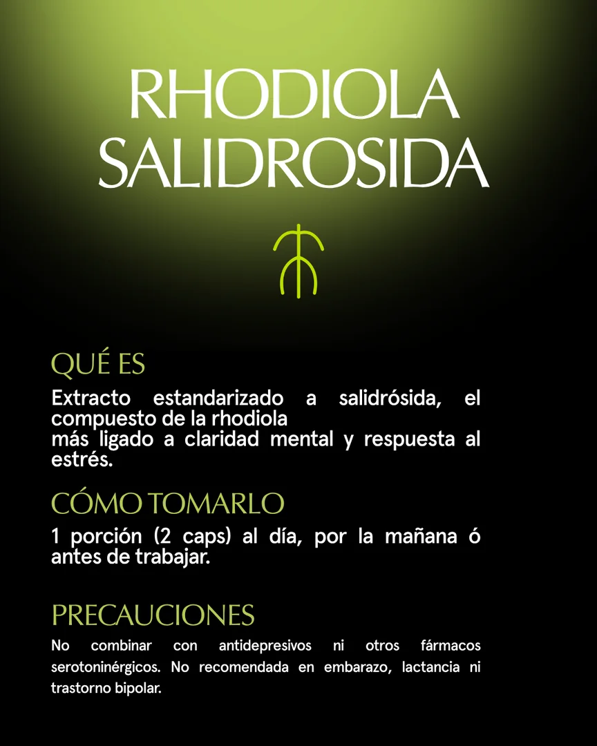 Qué es, cómo tomarlo y precauciones de Rhodiola Salidrosida